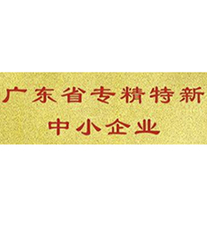 公司成功通過“省專精特新”企業(yè)認(rèn)定